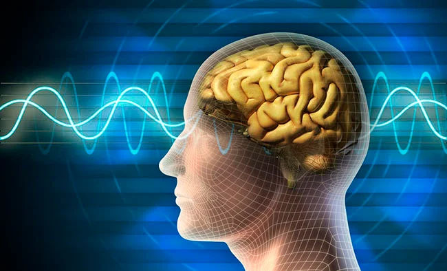 Ultrasəs və beyin implantları ilə depressiya və epilepsiya müalicə edilə bilər