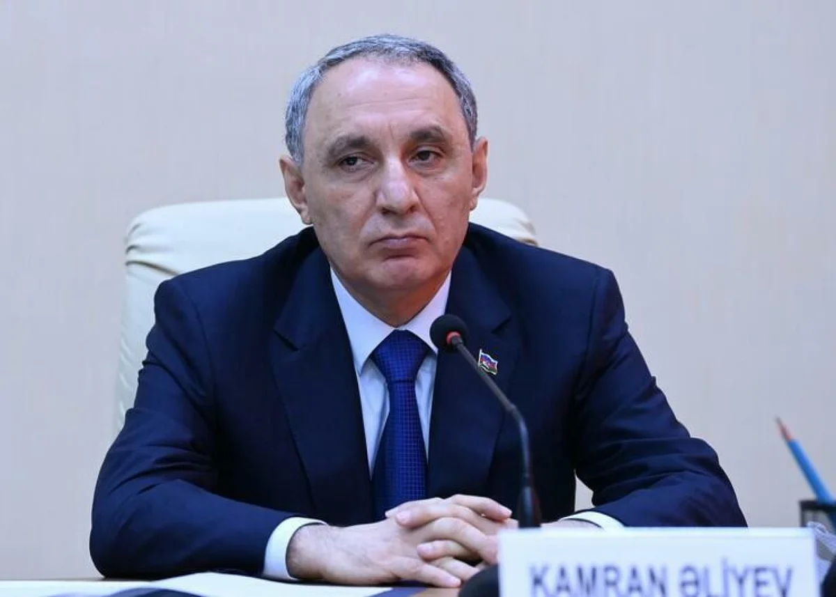 Kamran Əliyev qanunsuz plastik cərrahlardan danışdı