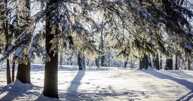 В Казахстане усилятся морозы: снег, метель и гололедица