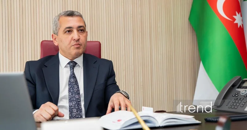 Бакинский порт укрепляет свои позиции в качестве регионального логистического центра (Эксклюзивное интервью) (ФОТО)