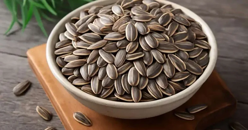 “Dolunay” markasında zəhərli toksin tapıldı Tumlar satışdan çıxarıldı