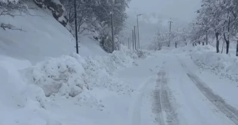 Испытание морозом для жителей Азербайджана ФОТО