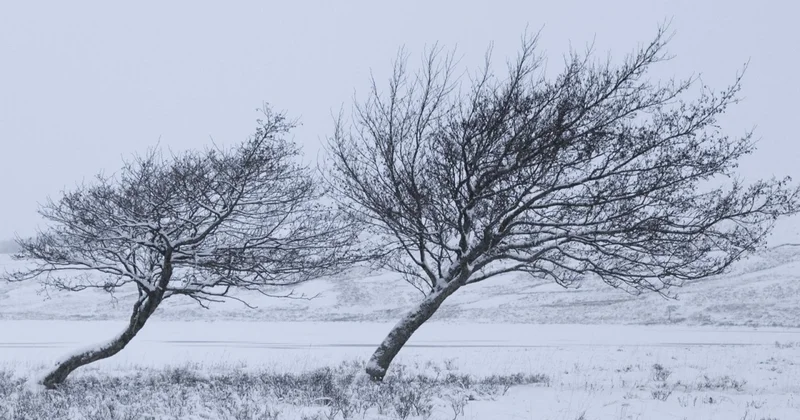 МЧС призывает соблюдать осторожность Minval Politika