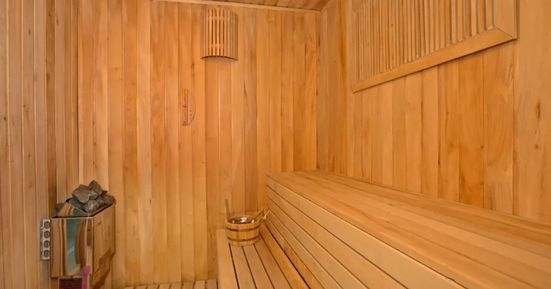 Сауна как путь к компромиссу по Гренландии Minval Politika