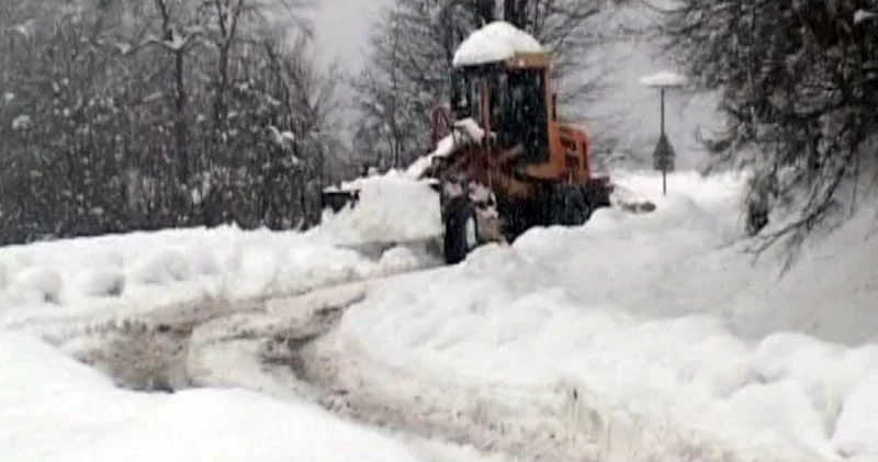 Azərişıq Lerik rayon İcra Hakimiyyətini günahlandırdı: Yollar açılmalıdır!