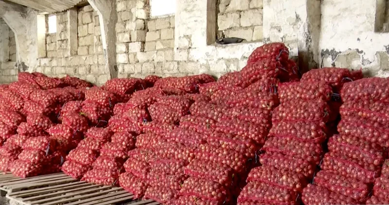 Десятки тонн лука из Узбекистана не пропустили в Кыргызстан
