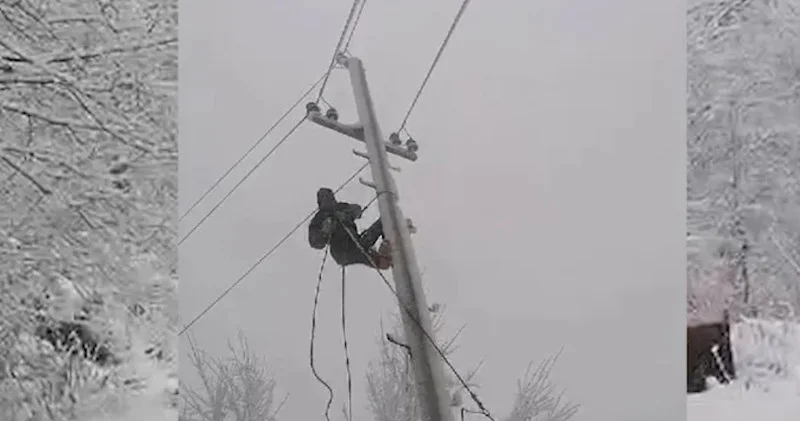 Güclü qara baxmayaraq “Azərişıq” Cəlilabadda elektrik enerjisinin bərpasını sürətlə davam ETDİRİR VİDEO