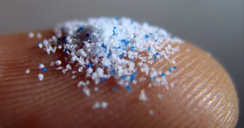 Böyük yalan: Mikroplastiklər haqqında qorxulu mif saxtadır..?