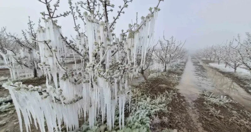 Qazaxıstanı don vurdu