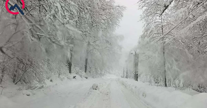 Bu qar bir başqa qardır... Fotolar+Video
