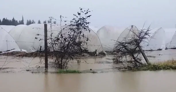 Cəlilabadda intensiv yağışlar Ciddi fəsadlar qeydə alındı