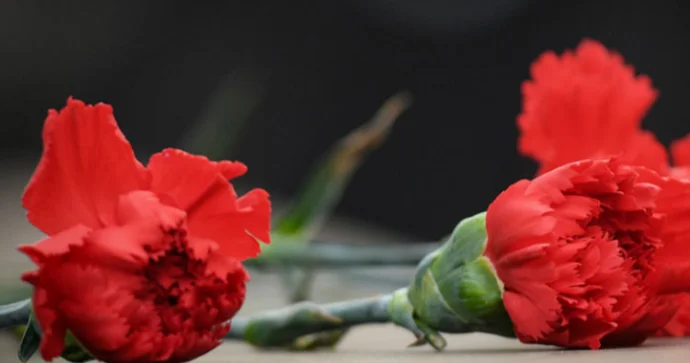 Yas mərasimlərinə apardığınız güllərin rəngi və mənası nələri ifadə edir? BİLMƏDİYİNİZ SİRLƏR