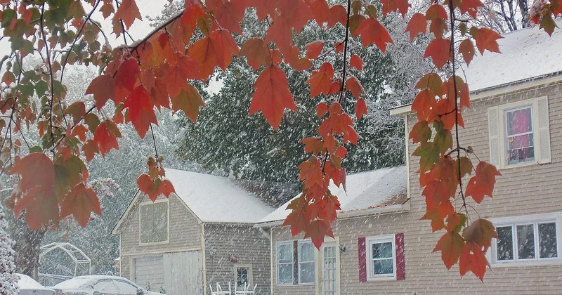 Faktiki hava açıqlanıb