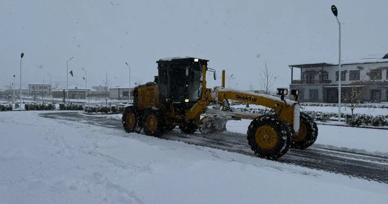 Zəngilan və Cəbrayılda qartəmizləmə işləri görülür Dövlət Xidməti