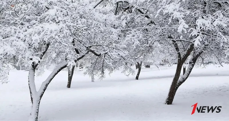 Высота снежного покрова в Азербайджане достигла 85 см.
