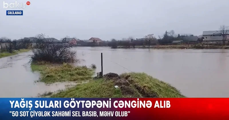 Cəlilabadda əkin sahələri su altında qalıb: Bir azdan küçələri də sel basacaq