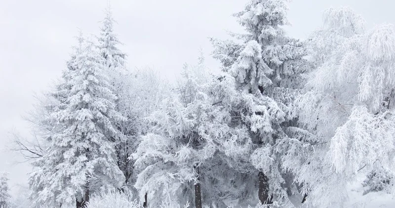 Qarlı hava sabah da davam edəcək PROQNOZ