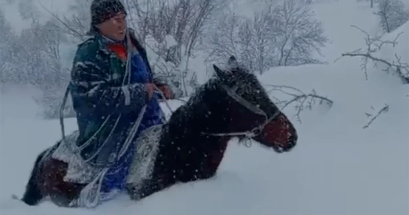 Lerikin dağ kəndlərində işığın verilişi bərpa ediləcək VİDEO