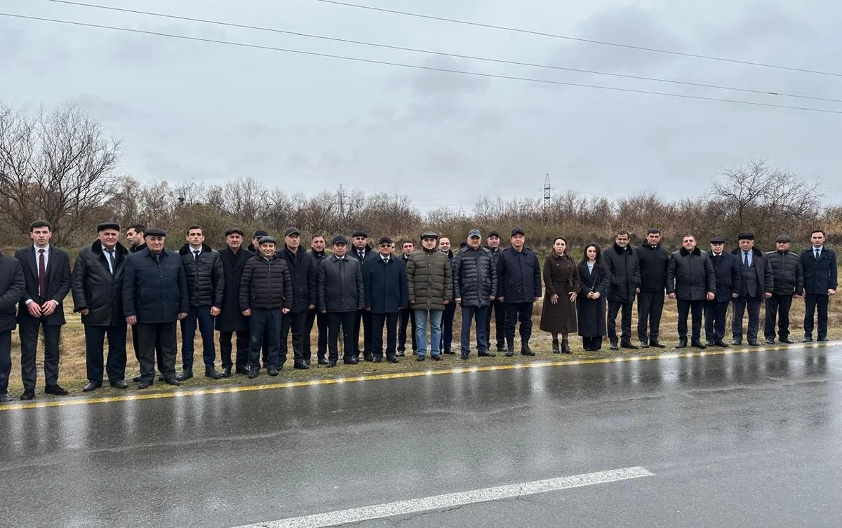 Beyləqanda ağacəkmə aksiyası keçirildi Fotolar