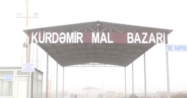 Kürdəmirdə yerləşən heyvan bazarı yenidən açıldı