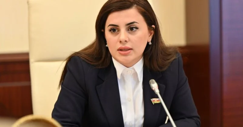 Uşaqların elmi tədqiqatlara cəlbi qanunla tənzimlənməlidir