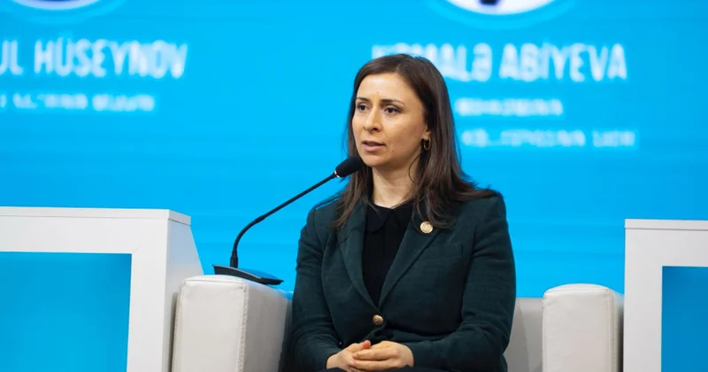 Kollegiya sədri: İnsan taleyini həll edən qərarların süni intellektə həvalə edilməsi böyük təhlükə ilə nəticələnə bilər