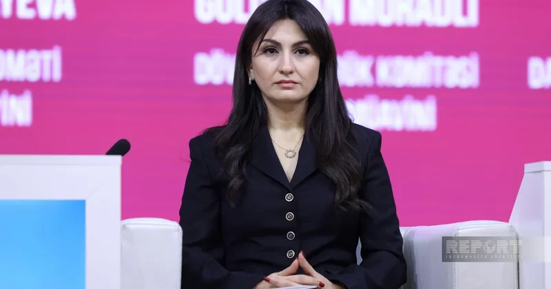 Самира Мусаева: В судах оспаривается около 15% выездных налоговых проверок