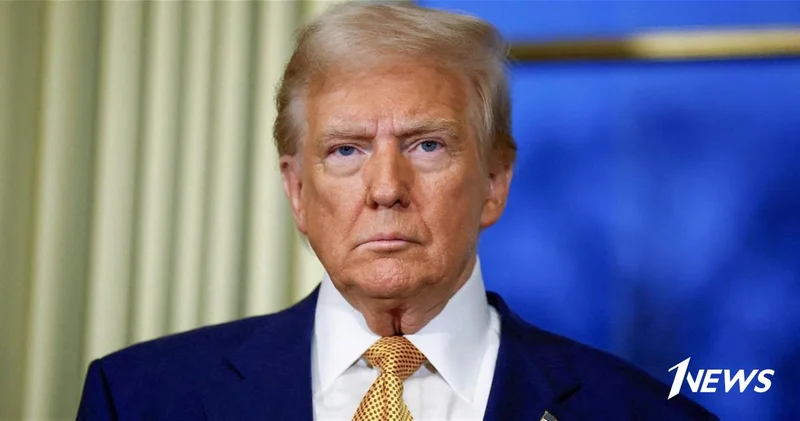 Трамп назвал НАТО бумажным тигром без США