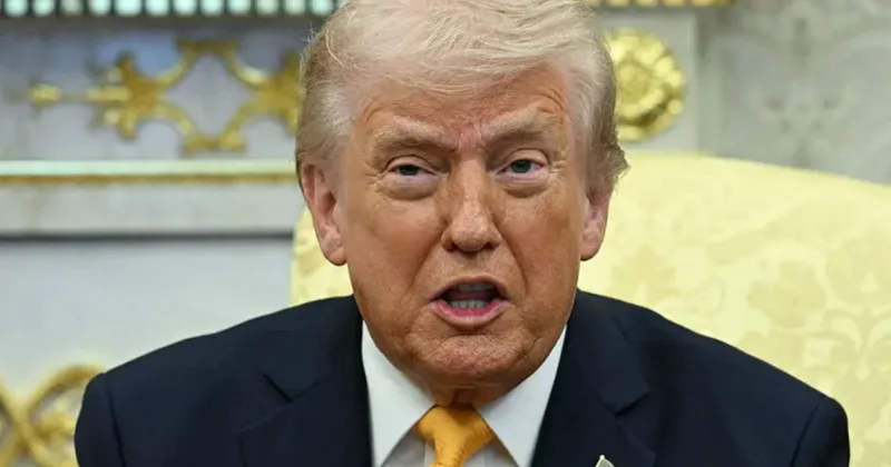 Трамп обрушился на страны НАТО: Трусы , Бумажные тигры