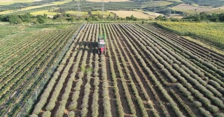 Bir damla su istəmədən sərvət qazandırır