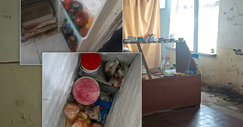 Azərbaycan məktəblərində 263 müəssisədə sanitar pozuntu aşkarlanıb FOTOLAR