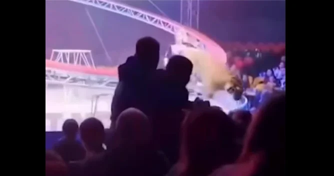Rusiyada sirkdə dəhşətli anlar: pələng insanların arasında VİDEO
