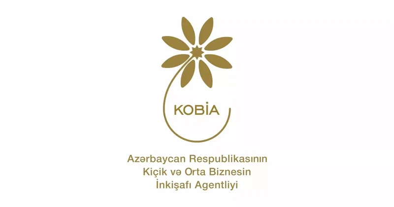 Власти Азербайджана выдали сертификаты 16 стартапам