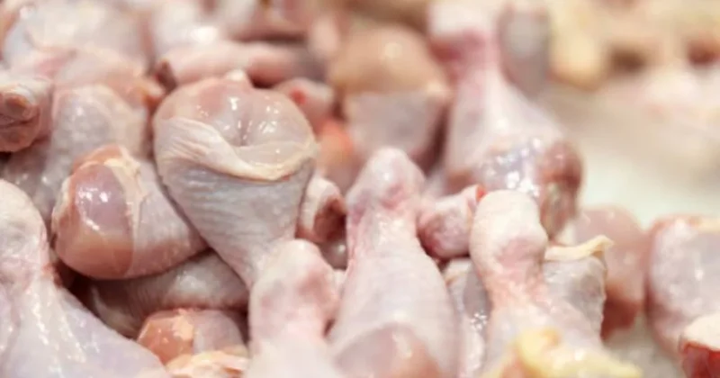 АПБА выявило сальмонеллу в куриной продукции из Украины