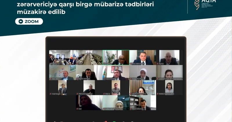AQTA və Gürcüstanın Milli Qida Agentliyi arasında zərərvericiyə qarşı birgə mübarizə tədbirləri müzakirə edilib