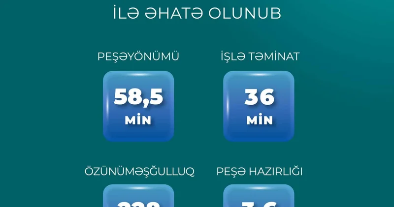 36 min nəfər işlə təmin olunub