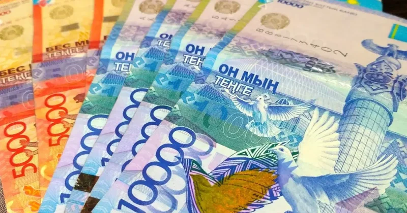 Как наказали жительницу Казахстана за смерть котёнка в стиральной машине?
