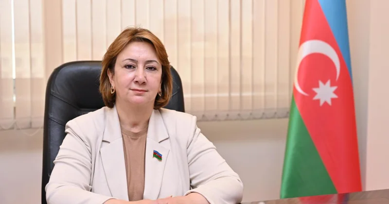 Mehriban Vəliyeva: Belçika və Niderlandın qətnamələri birtərəfli və qeyri balanslı yanaşmadır