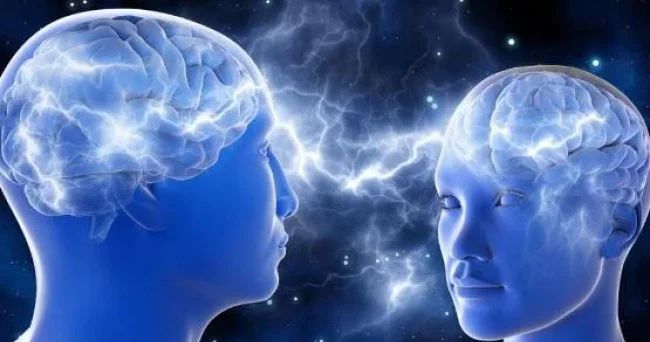 Kişi və qadın fərqi: Beyində özünü belə göstərir