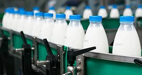 Bitki südünə maraq niyə artıb? DİETOLOQ AÇIQLADI