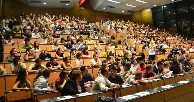 Ali təhsil diplomu ilə əmək bazarının tələbləri arasında uçurum var Ekspert