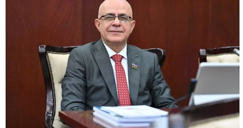 Mediamız milli maraqların müdafiəsində mühüm rol oynamaqdadır Elçin Mirzəbəyli