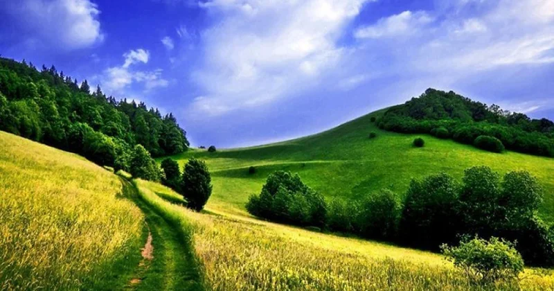 Sabah hava əsasən yağmursuz keçəcək