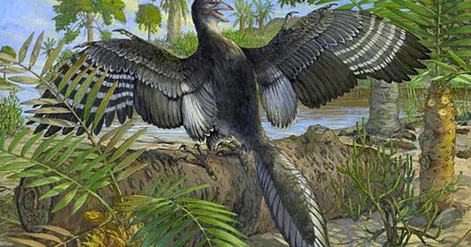 Müasir quşların əcdadına çevrilən lələkli dinozavrın sirri açılıb..?