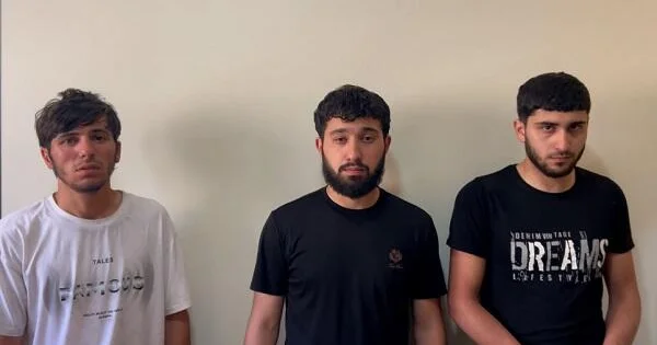 Şamaxıda qızılları talayıb Şirvanda bataqlıqda gizləndilər Video