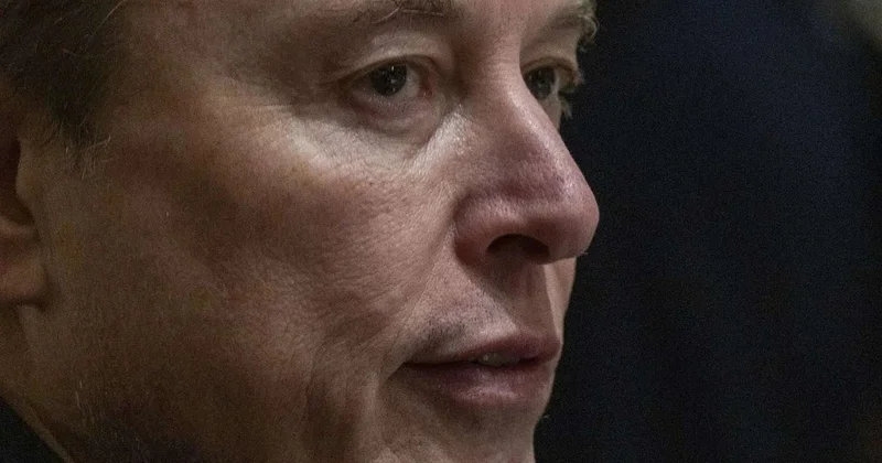 İlon Mask "itib" Politico