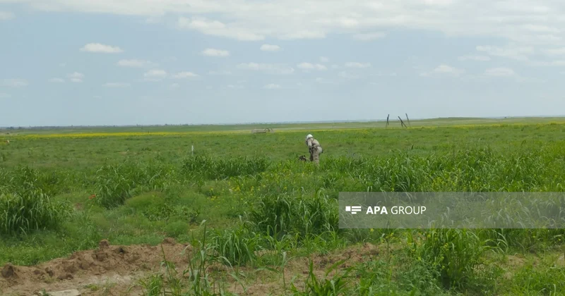 Ağdamda minatəmizləmə ilə bağlı media tur keçirilib FOTO