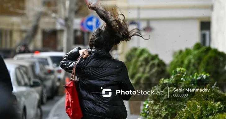 Объявлено желтое и оранжевое предупреждение в связи с ожидающейся завтра ветреной погодой