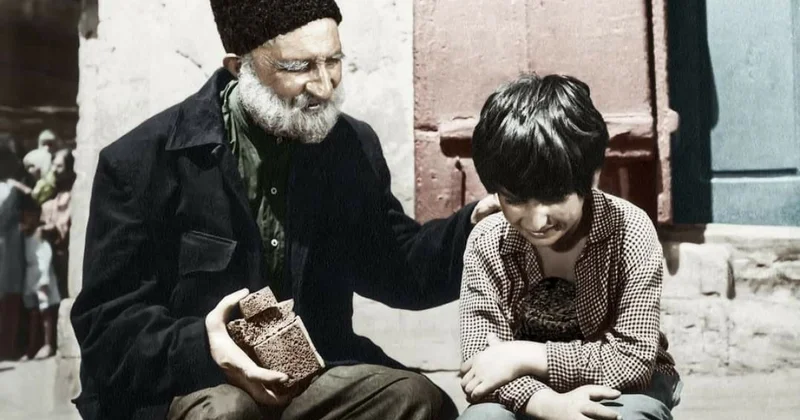 Uşaqlar, müharibə və qır qazanı Çörək ağacından asılanlar