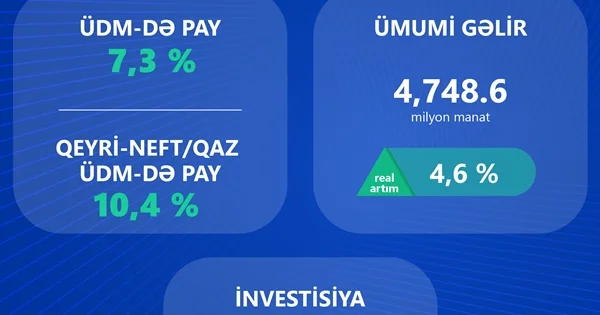 İKT sektorunun gəlirlərində informasiya xidmətlərinin payı artır